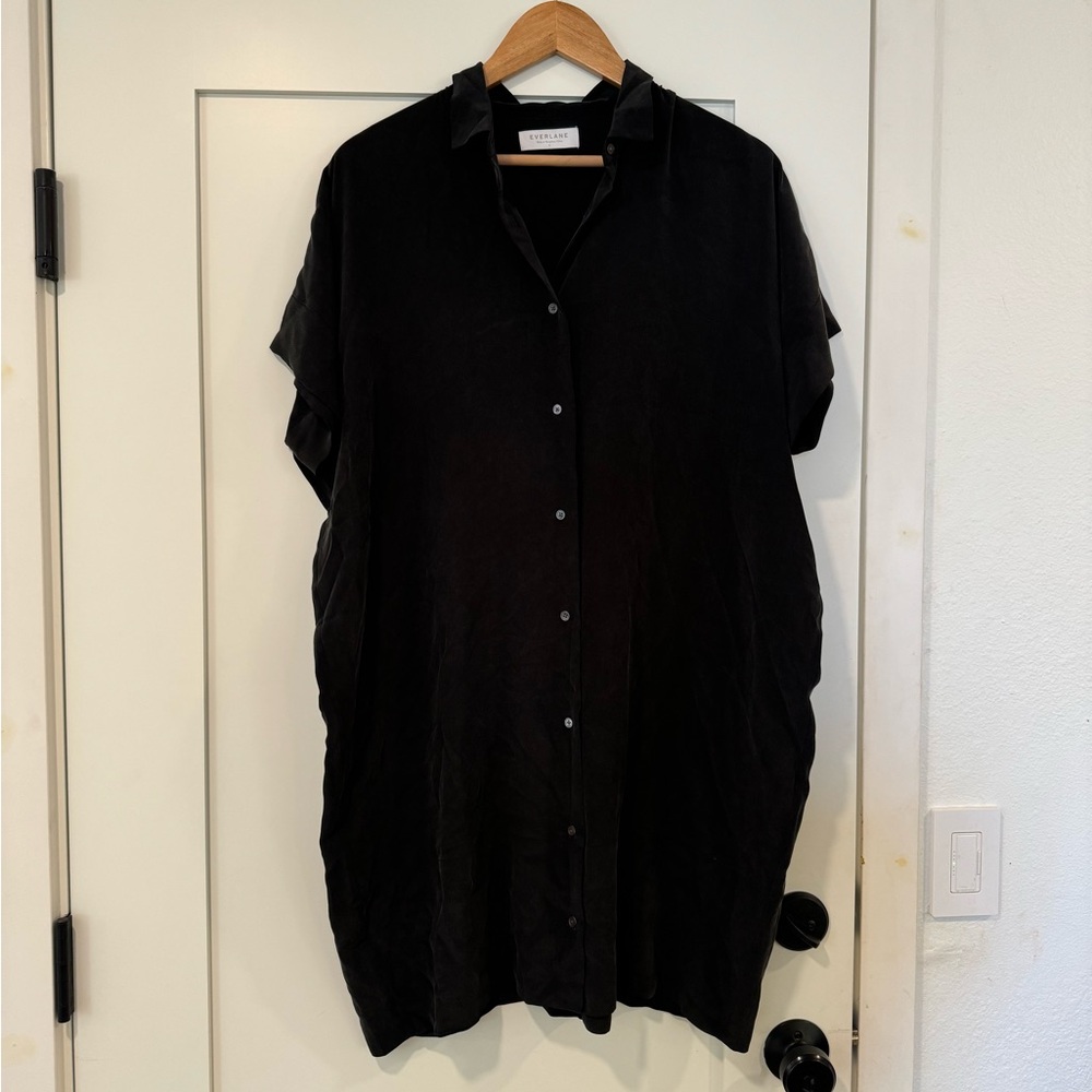 Everlane silk dress